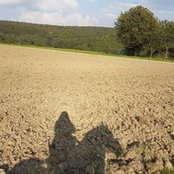 Foto von Jasmin Wa-Mo