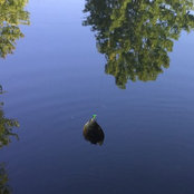 Foto von Kelly Sheehan
