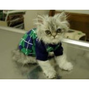 Patty Heard's photo