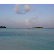 Cédric Chabrillat's photo