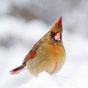 Deb Johnson's photo
