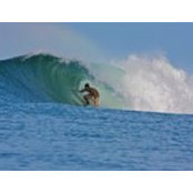 Sam Sheldon's photo