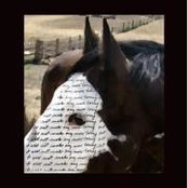 Christye Flanagan's photo
