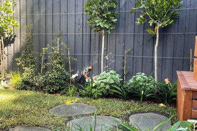 Photo of a modern garden in Sydney.