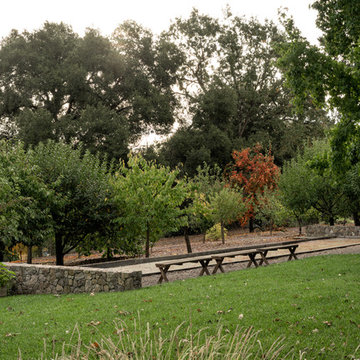 Healdsburg 2