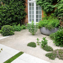 by Charlotte  Rowe Garden Design