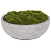 Artificial Fake Moss Arrangement, Round Stone Wash Cement Bowl