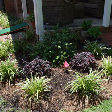 Andrews Landscape