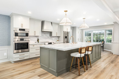 Kitchen - transitional kitchen idea in DC Metro