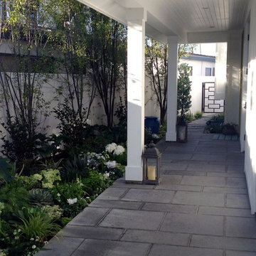Contemporary garden