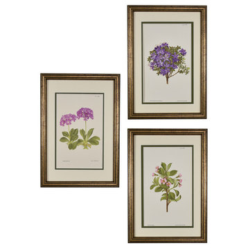 Original Vintage English Botanical Prints, Set of 3s