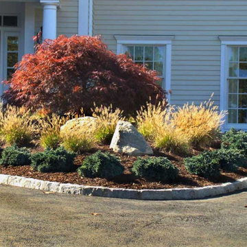 Our Work