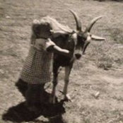 Patty Haehner's photo