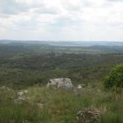 Marcela Curbelo's photo