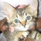 Mary s's photo