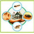 Carpet Cleaning Melbourne's profile photo