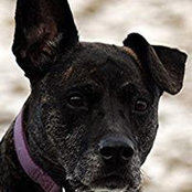 Brad Bixler's photo