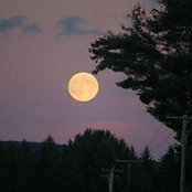 Dawn Carman's photo