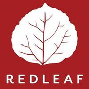 Redleaf Engineering's photo