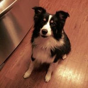 Kimberly Adair's photo