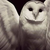 Lisa Potter's photo