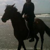 Foto von Sharon Spurlock