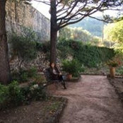 Sheila Tran's photo