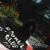 Susan McLean's photo