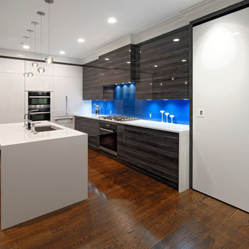 Bethesda, Maryland - Contemporary - Kitchen Design