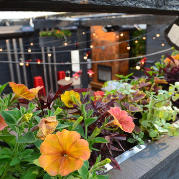 Rooftop Garden
