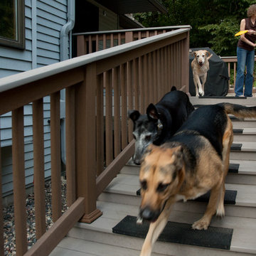 These Stairs Are for the Dogs