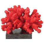 Elk Home - Fire IslanDecoral Display Statue - Welcome The Exotic Coral Reef Into Your Home With The Sterling Fire Island Coral Statue. The Intense Coral Red Color Adds Drama To Any D?cor Where The Feeling Of Coastal Living Is Desired. So Bring The Tropics Home And Enjoy The Fire Island Coral Statue Everyday. Measures 5 Inches Tall And The Base Measures 6 Inches Long X 4.5 Inches Wide.