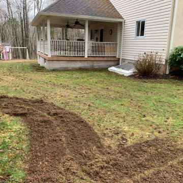 Lawn renovation before & after (6 weeks)