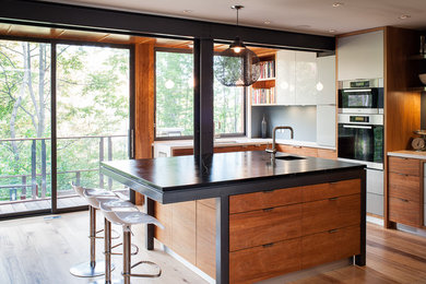 Kitchen - contemporary kitchen idea in Toronto