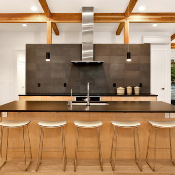 Lake Whatcom NW Contemporary