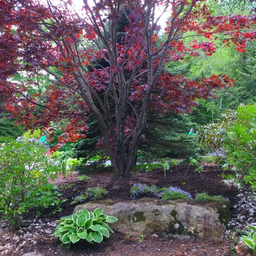 Riverbed Garden