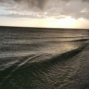 Chrissy Crenshaw's photo