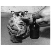 Marc Ellis's photo