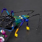 Neringa Bagdoniene's photo