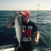 Andrew Spiteri's photo