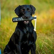 Jennifer Brown's photo