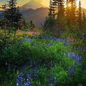 Mark STokesberry's photo
