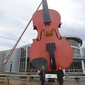 Nicki Dewar's photo