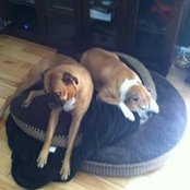Barry Maas's photo