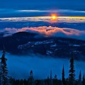 Carol Gerisch's photo