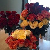 Debi Hanuscin's photo