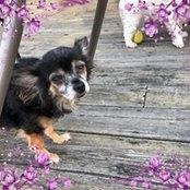 Susan Bryant's photo