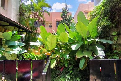 Urban Tropical Forest