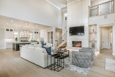 Example of a minimalist living room design in Baltimore