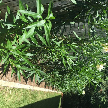 Garden Design for New Home - The Gap
